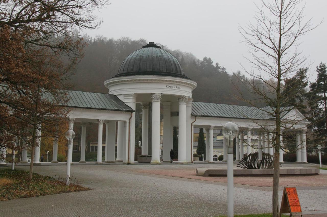 Apartman Karlovarska Marianske Lazne Bagian luar foto